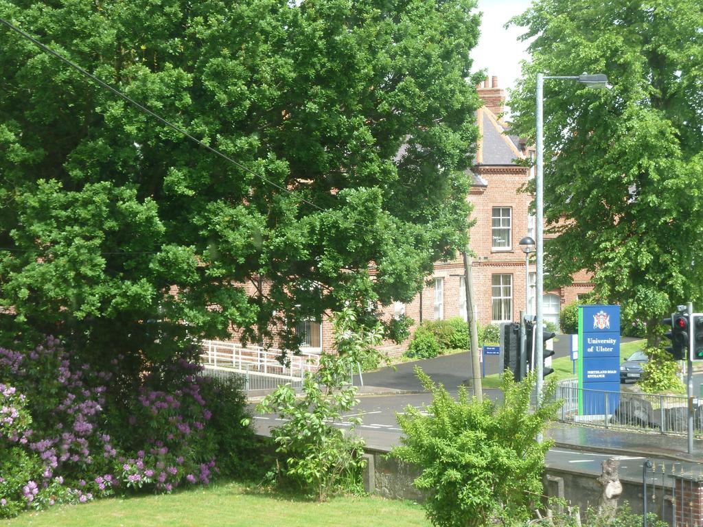 City Centre B & B Londonderry Pokój zdjęcie